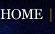 Return to the Homepage